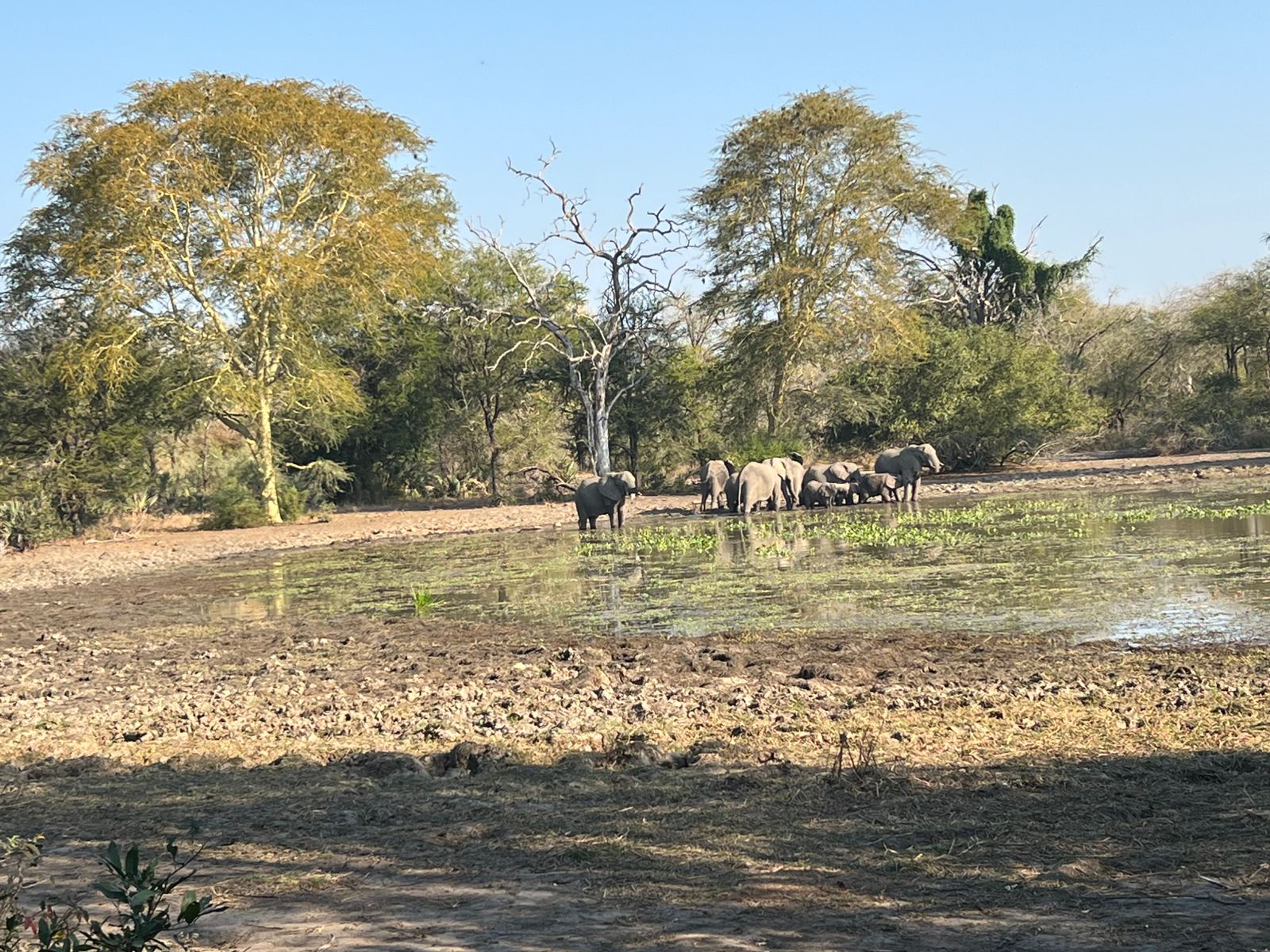 Gorongosa — MozaTour